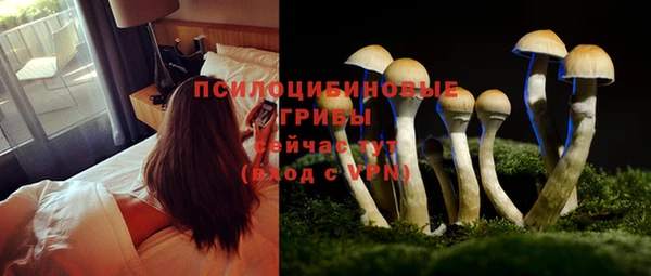 MESCALINE Куйбышев